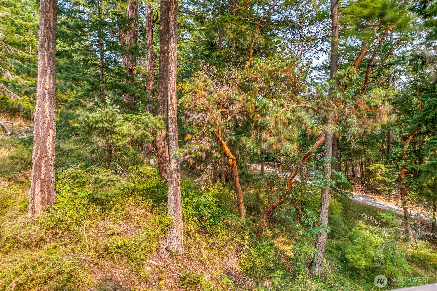 83 Cascade Way Property Photo 27