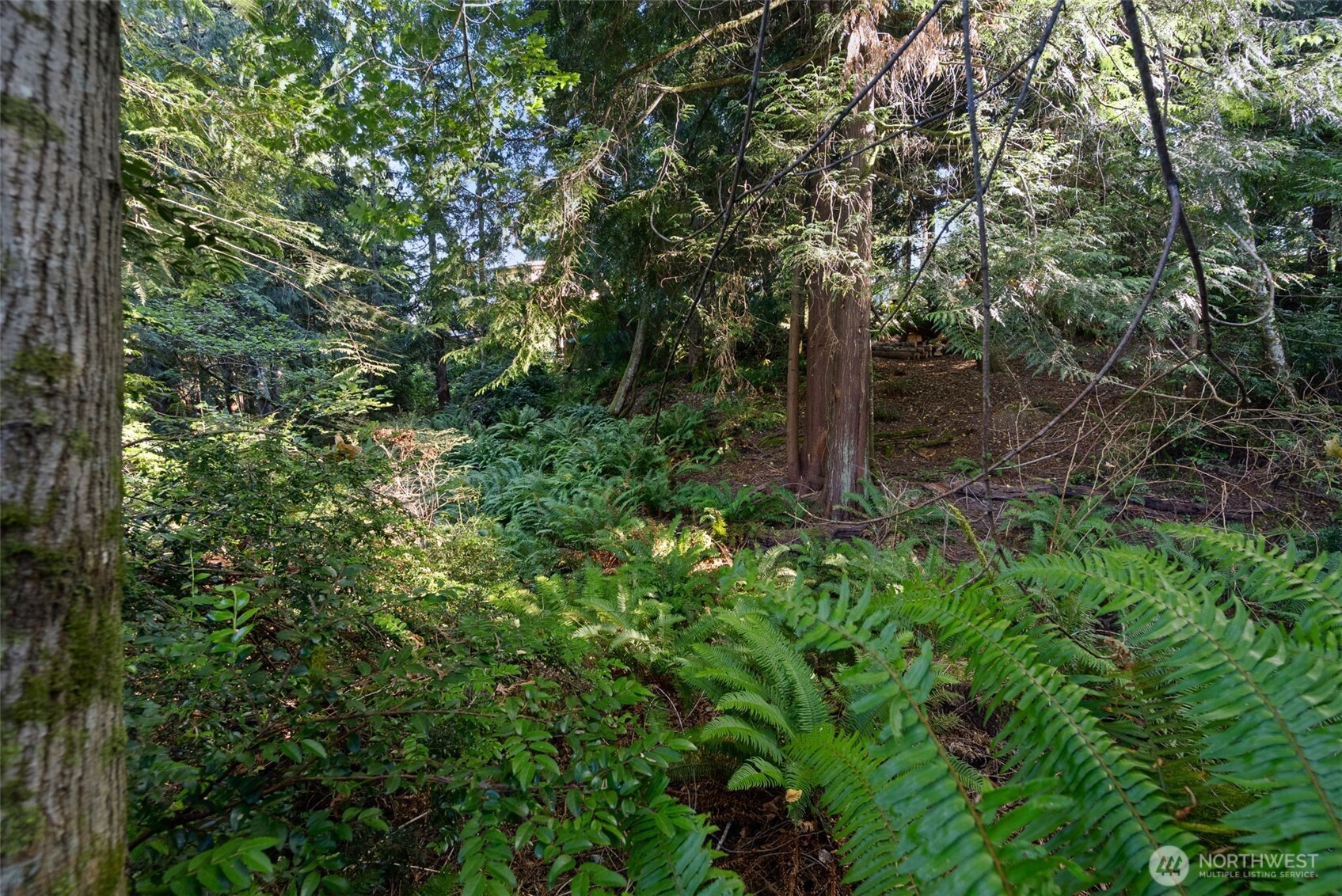 0 Point White Drive Property Photo 14
