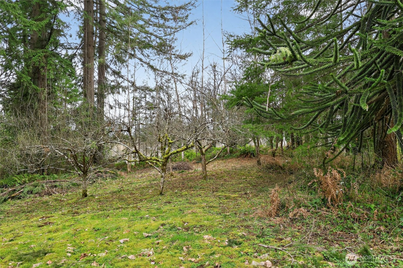 0 Xxx Garden Hill Rd Property Photo 13
