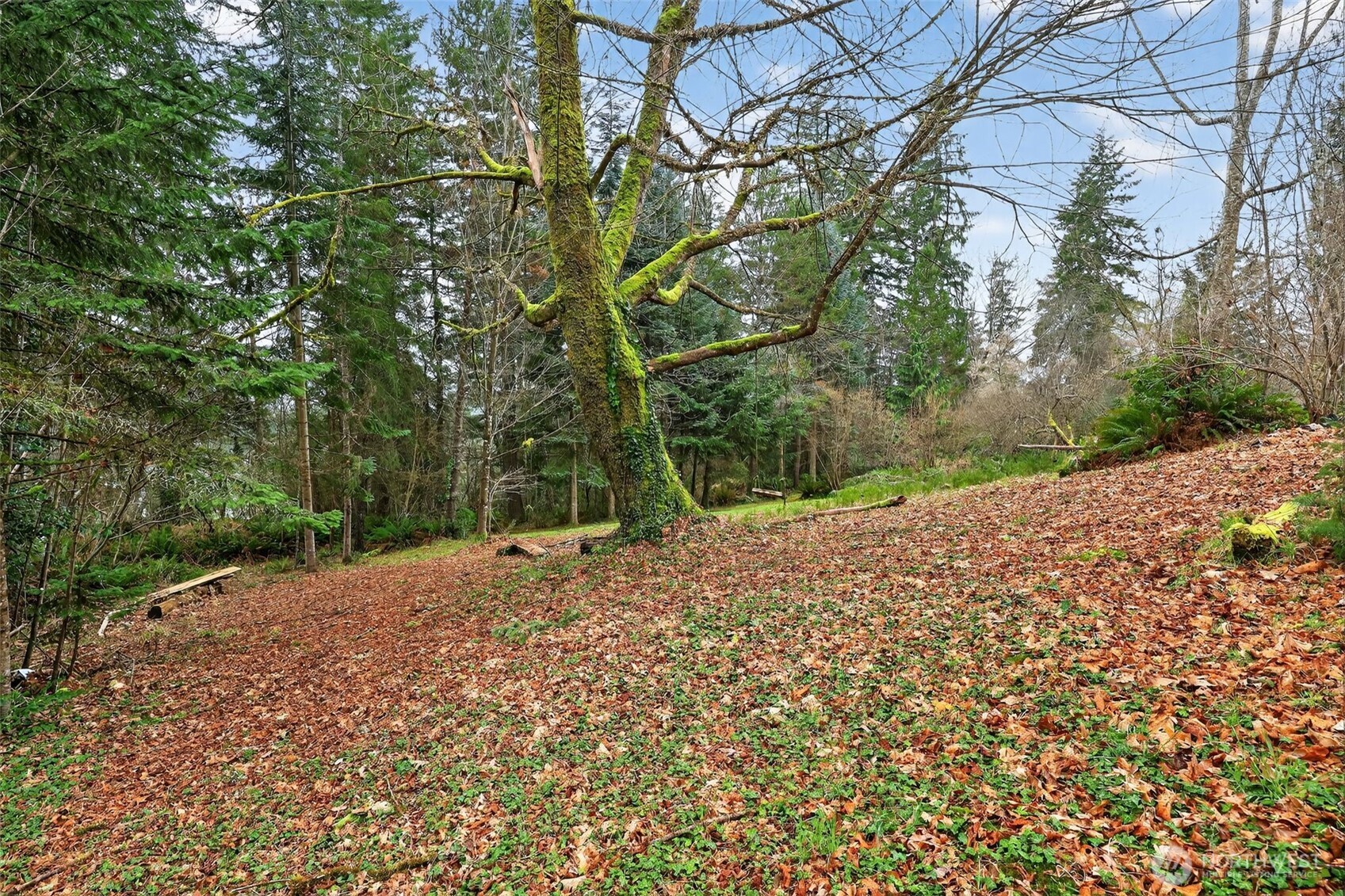 0 Xxx Garden Hill Rd Property Photo 16