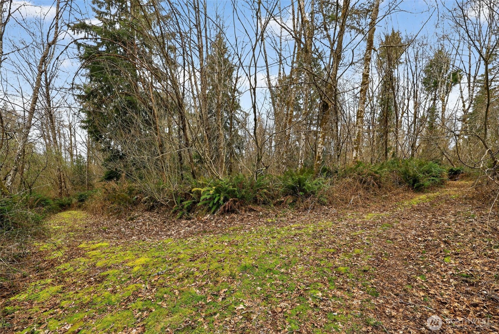 0 Xxx Garden Hill Rd Property Photo 17