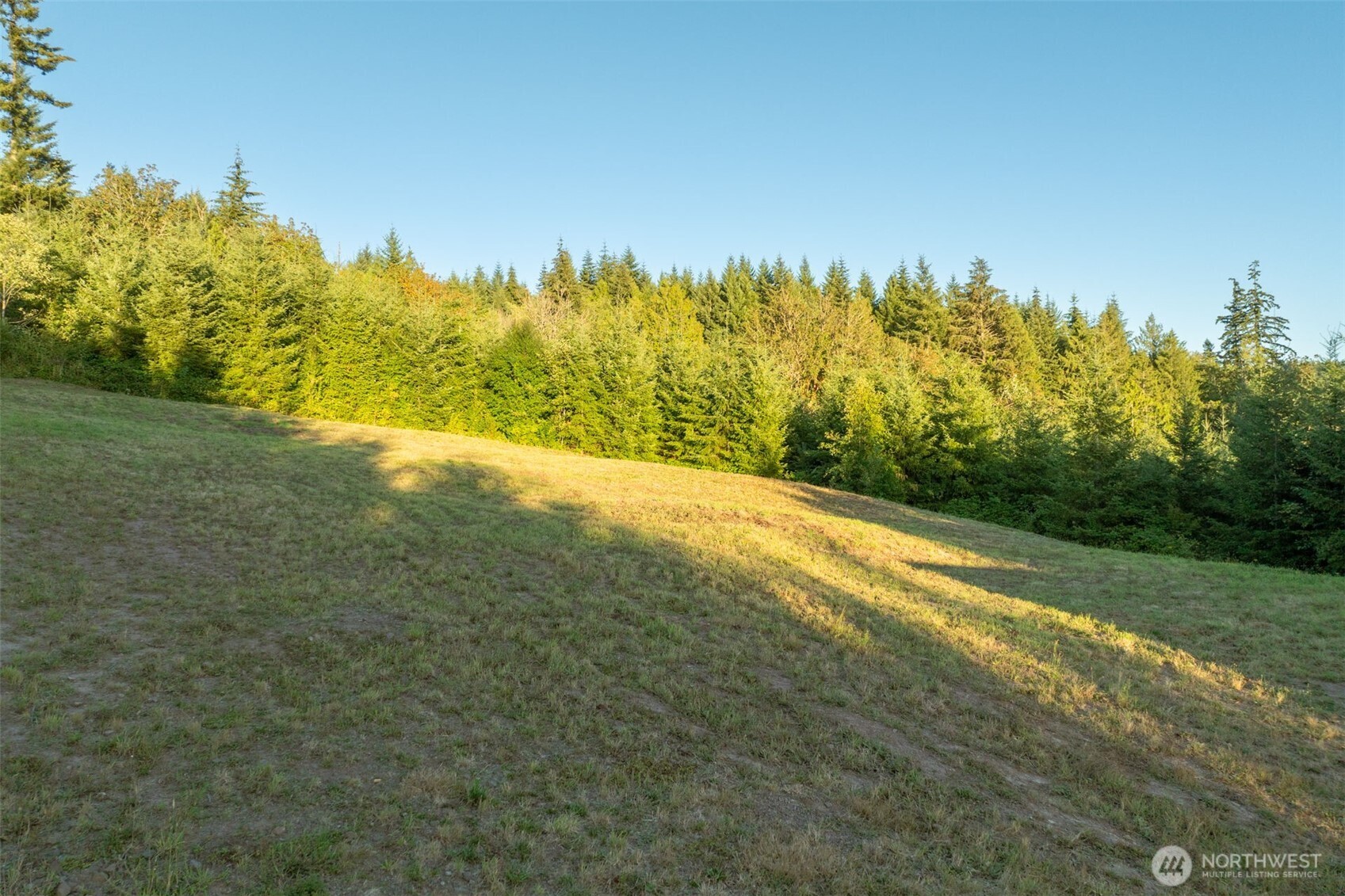 214 Bootjack Lane Property Photo 38