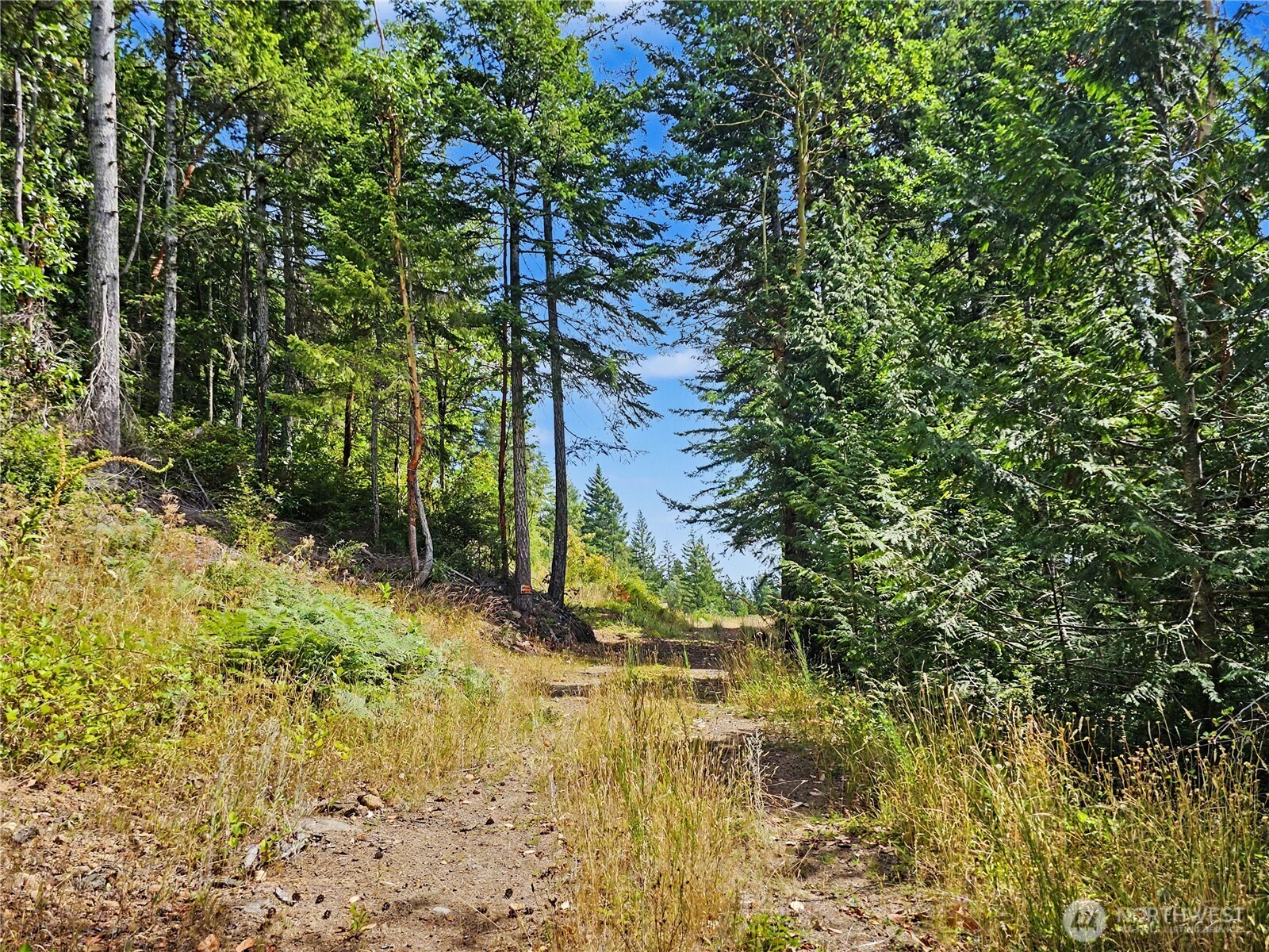 646 Madrona Ridge Drive Property Photo 8