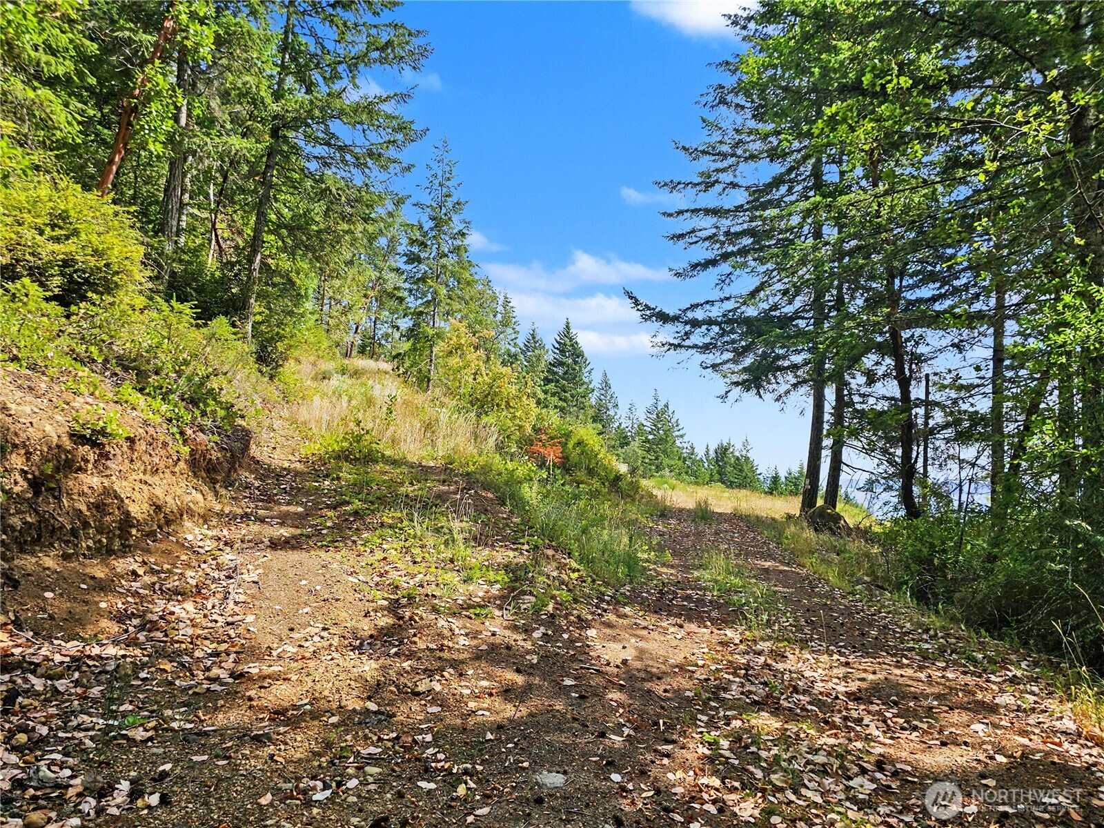 646 Madrona Ridge Drive Property Photo 10