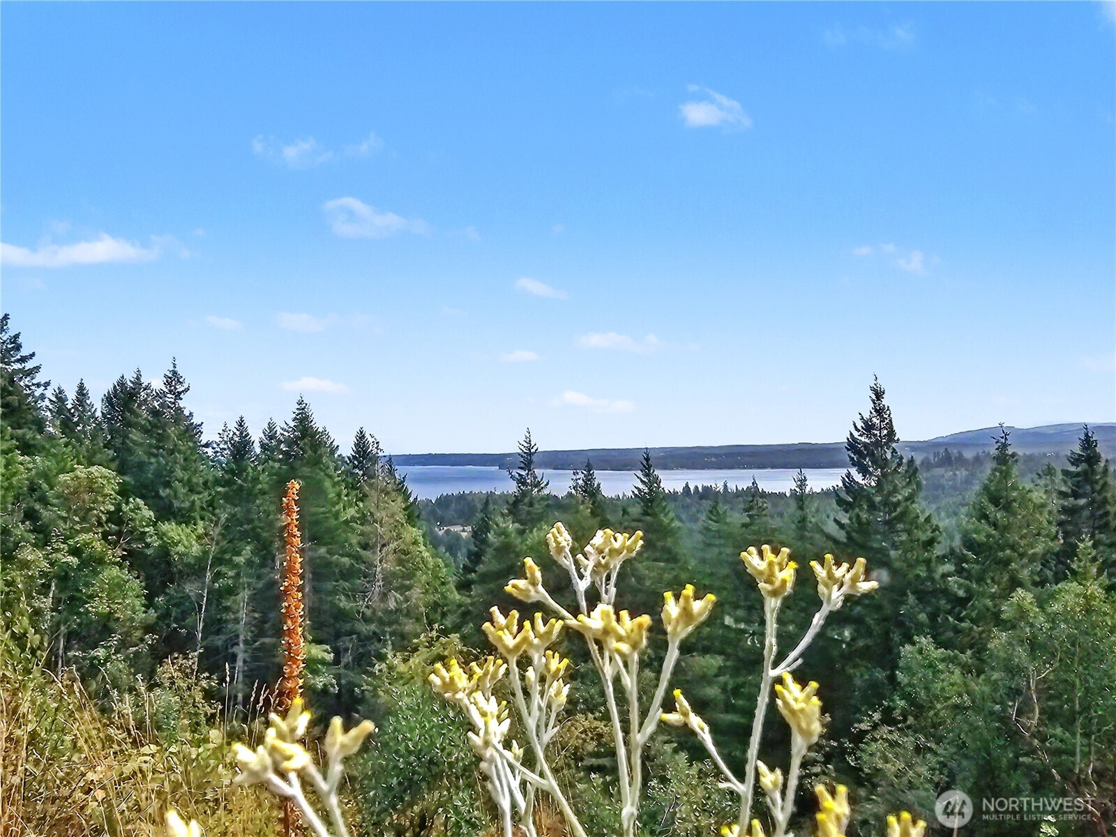 646 Madrona Ridge Drive Property Photo 12