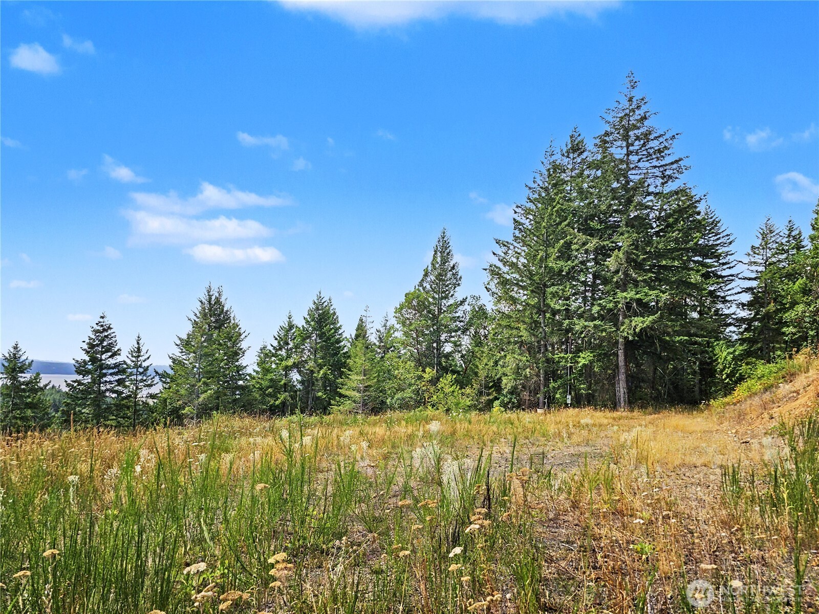 646 Madrona Ridge Drive Property Photo 13