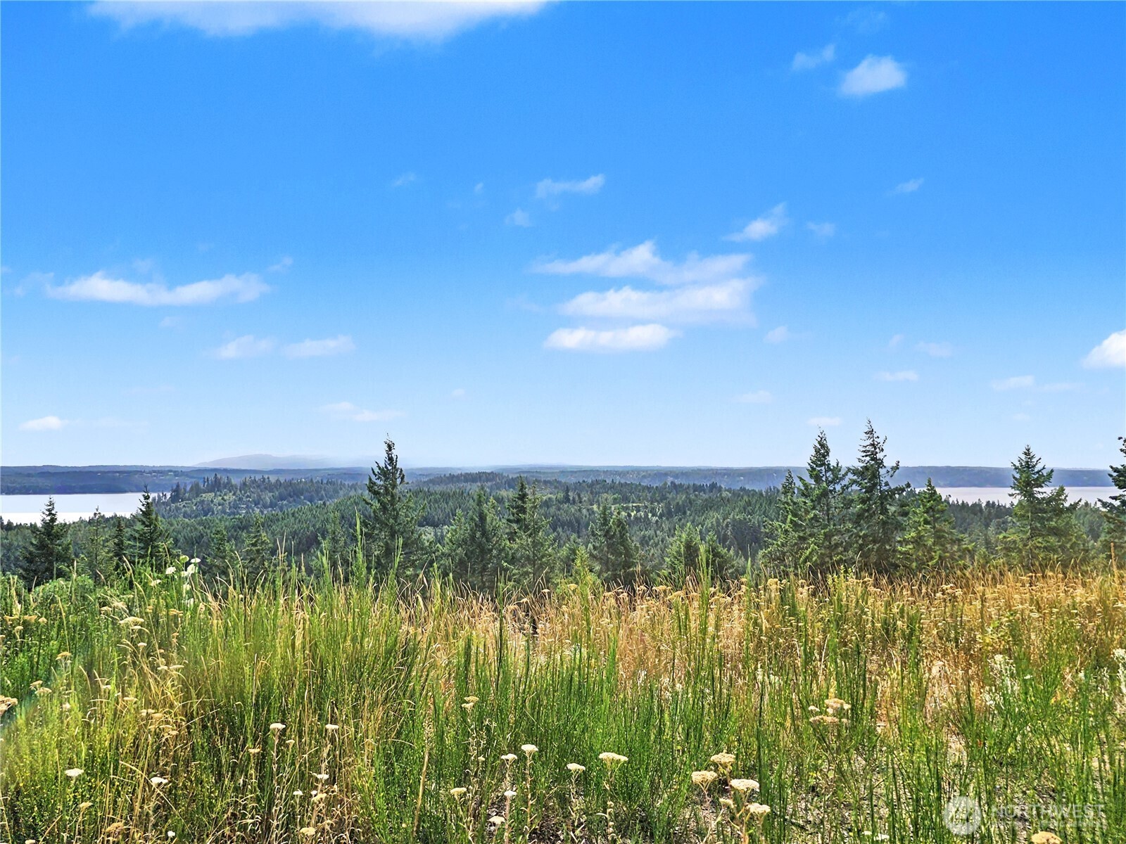646 Madrona Ridge Drive Property Photo 14