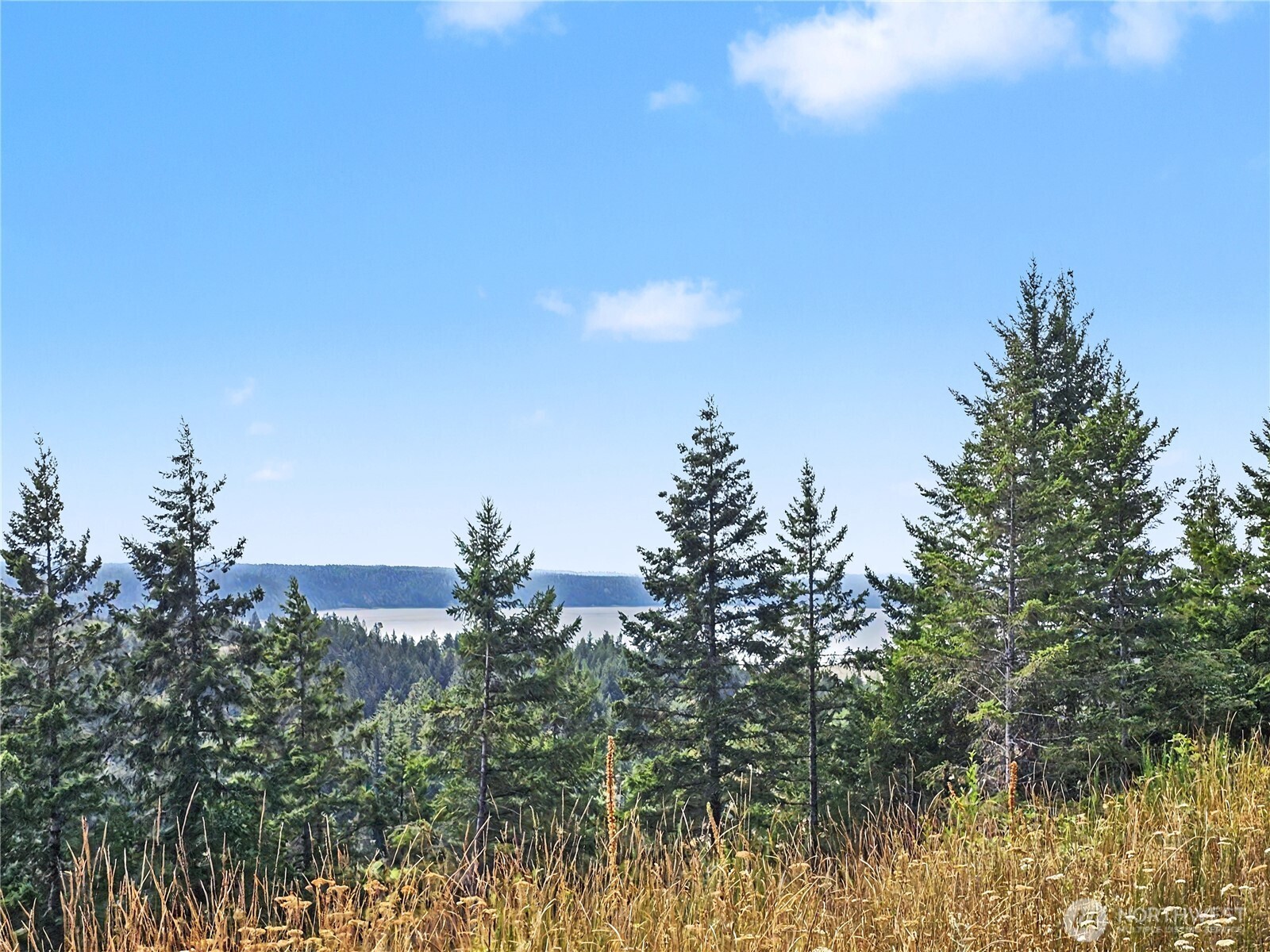 646 Madrona Ridge Drive Property Photo 16