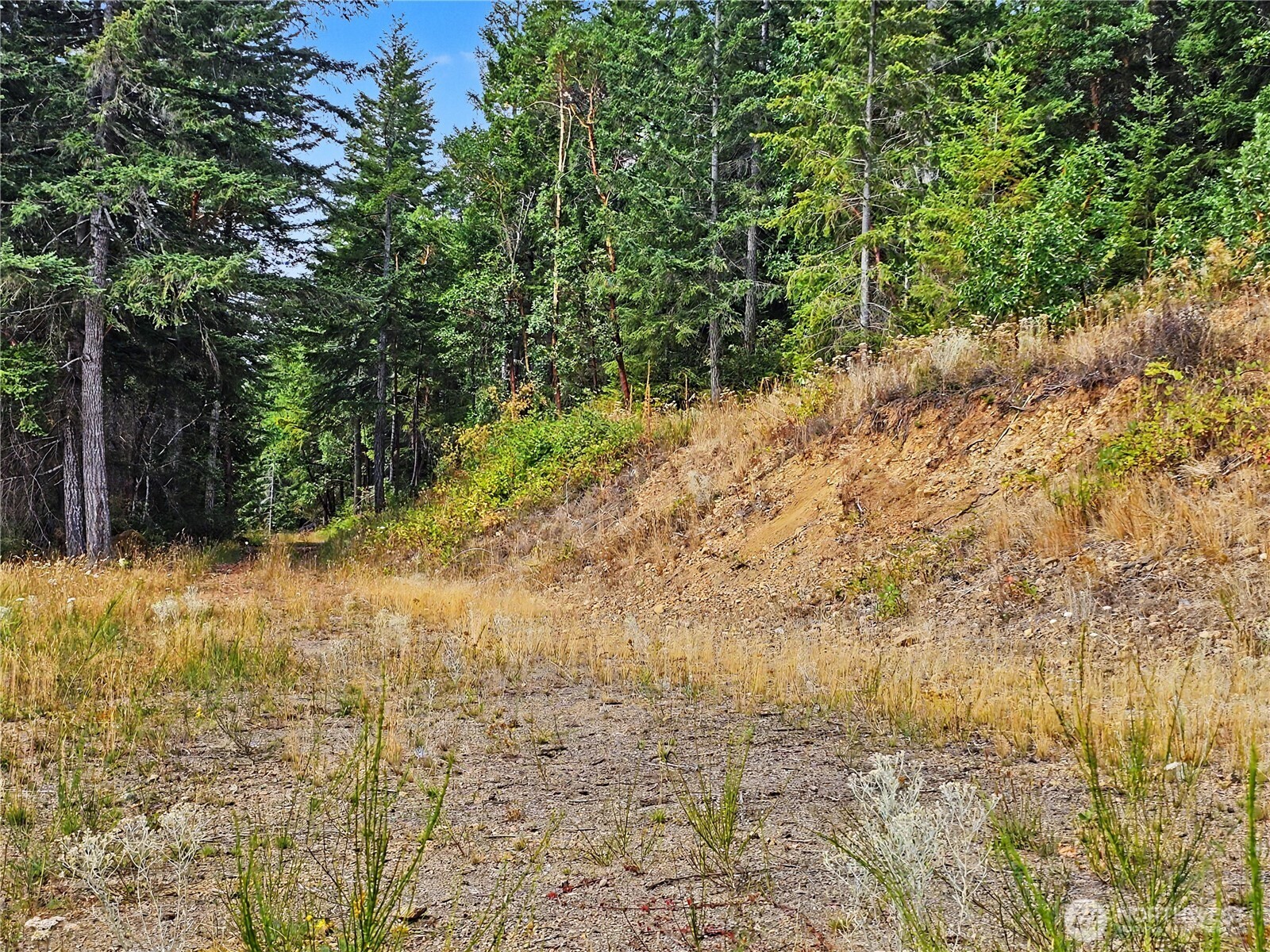646 Madrona Ridge Drive Property Photo 17