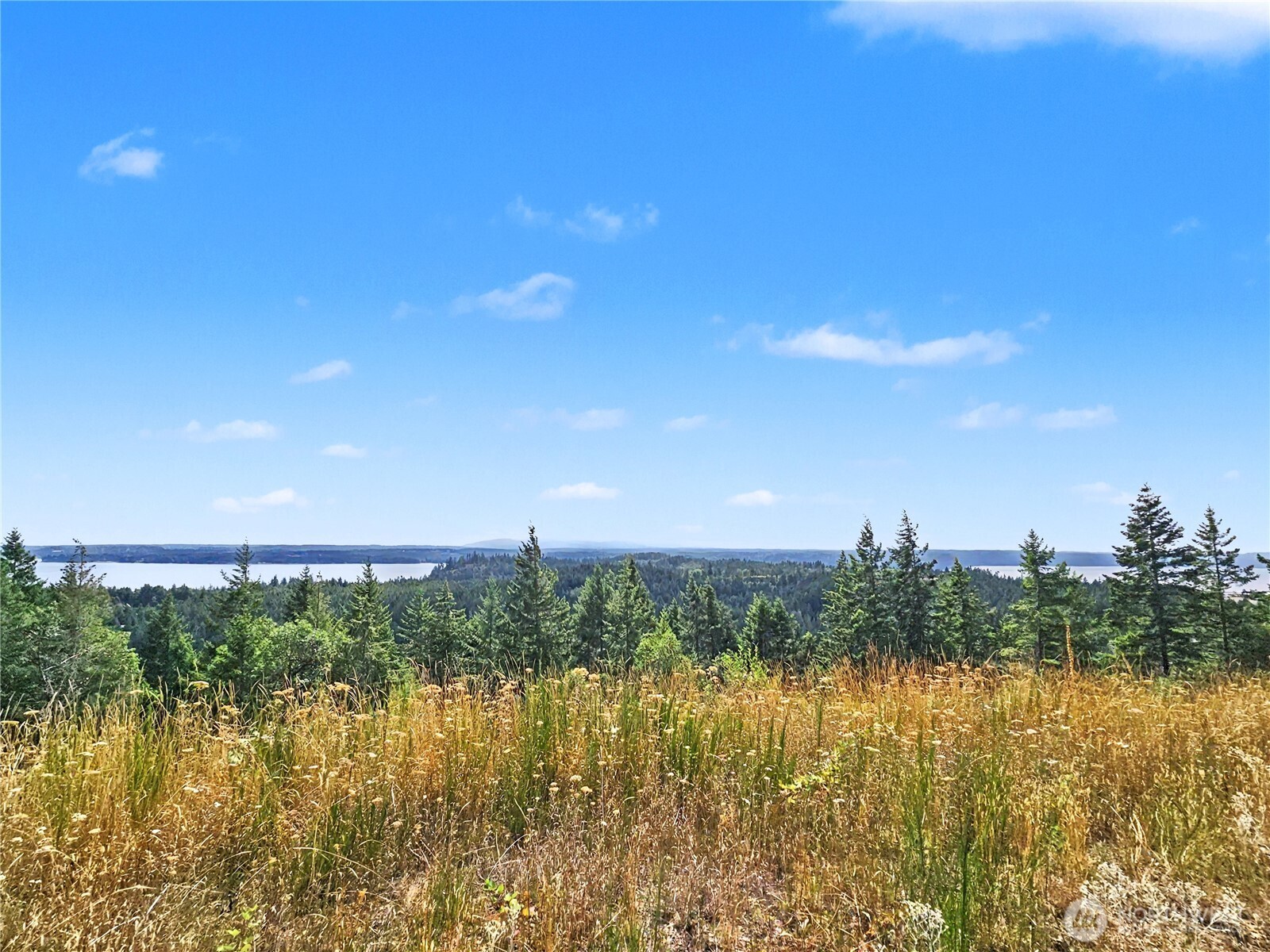 646 Madrona Ridge Drive Property Photo 18