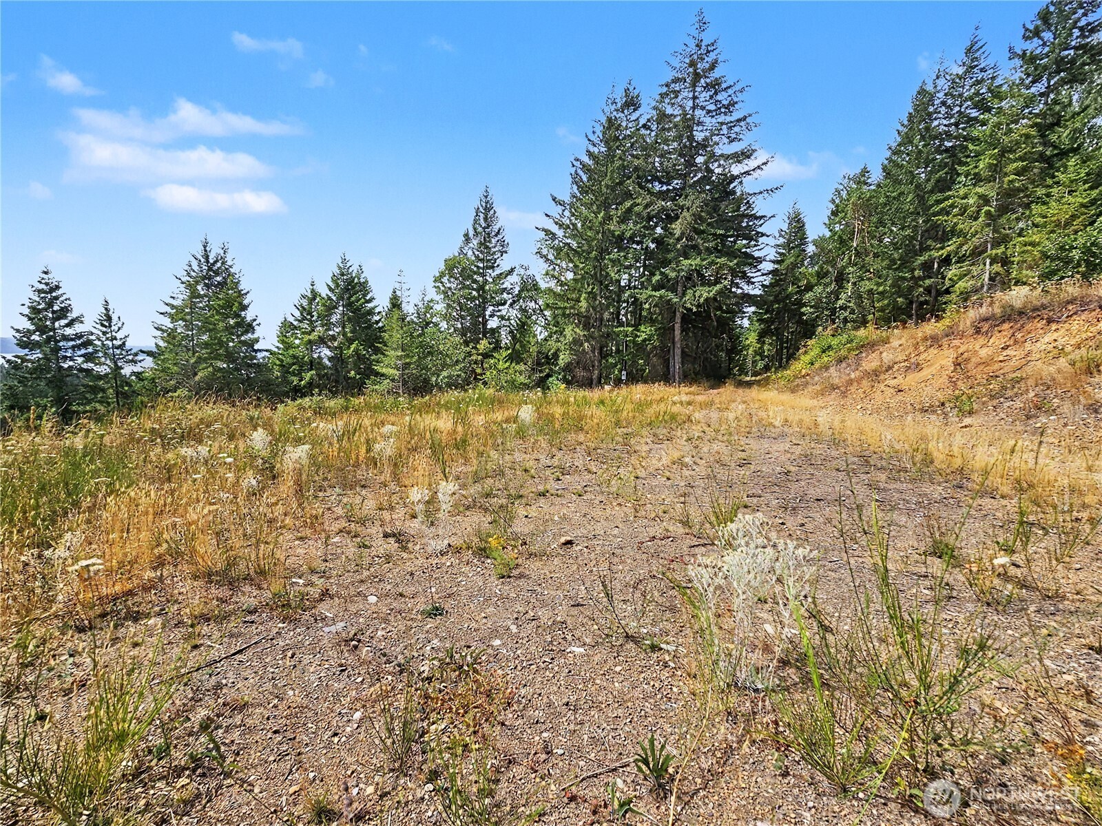 646 Madrona Ridge Drive Property Photo 19