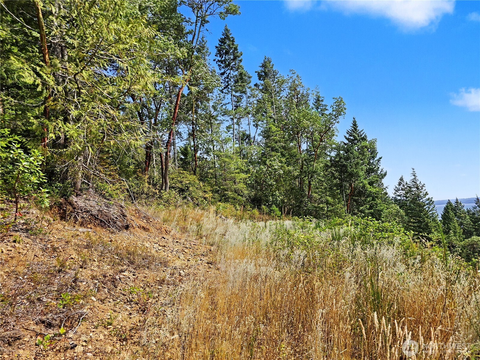 646 Madrona Ridge Drive Property Photo 29
