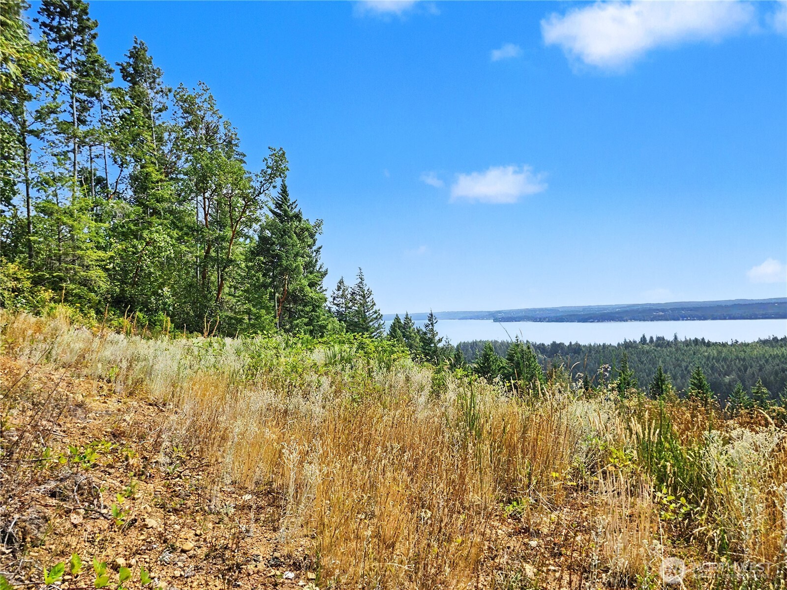 646 Madrona Ridge Drive Property Photo 30