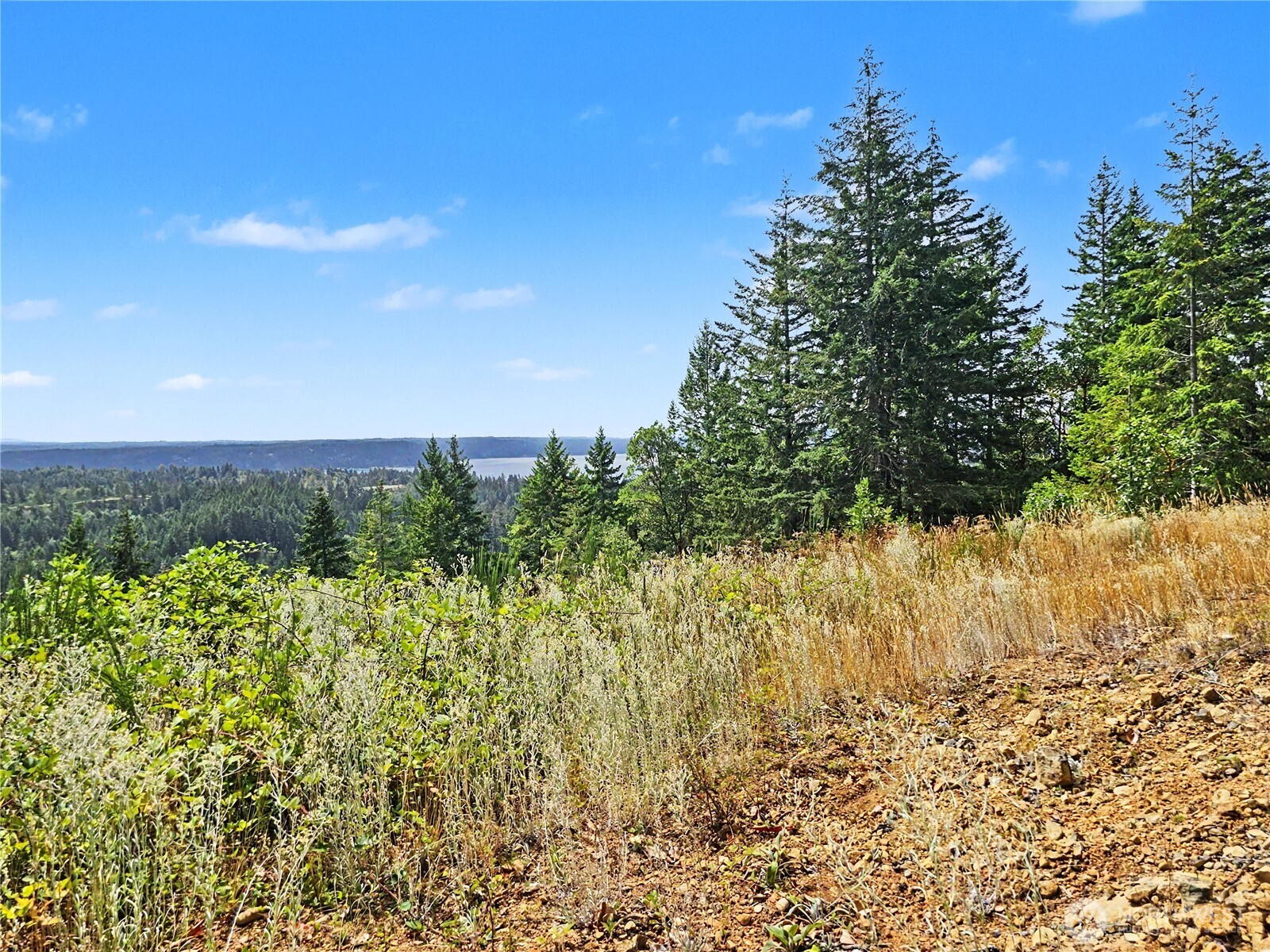 646 Madrona Ridge Drive Property Photo 32