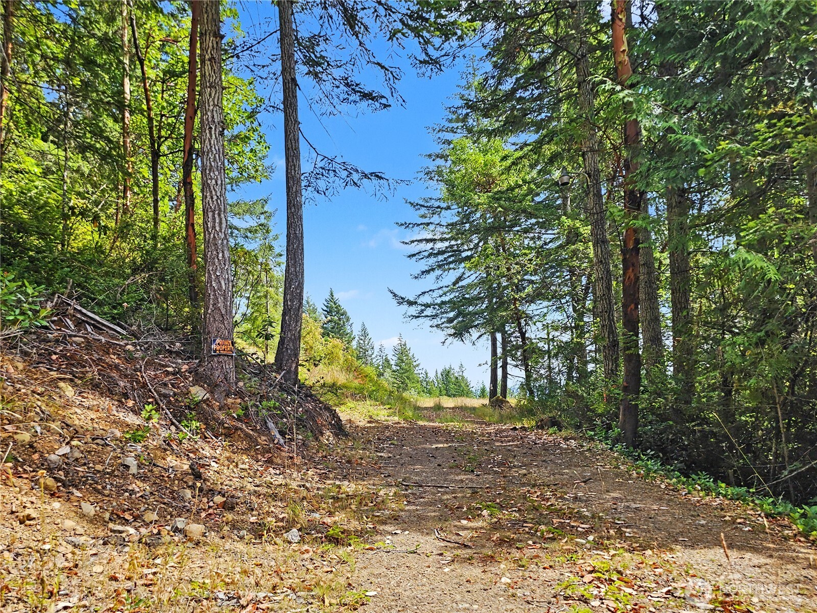 646 Madrona Ridge Drive Property Photo 34