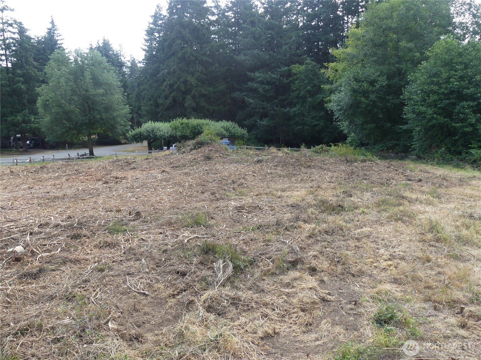 10107 Narrows Drive Property Photo 3