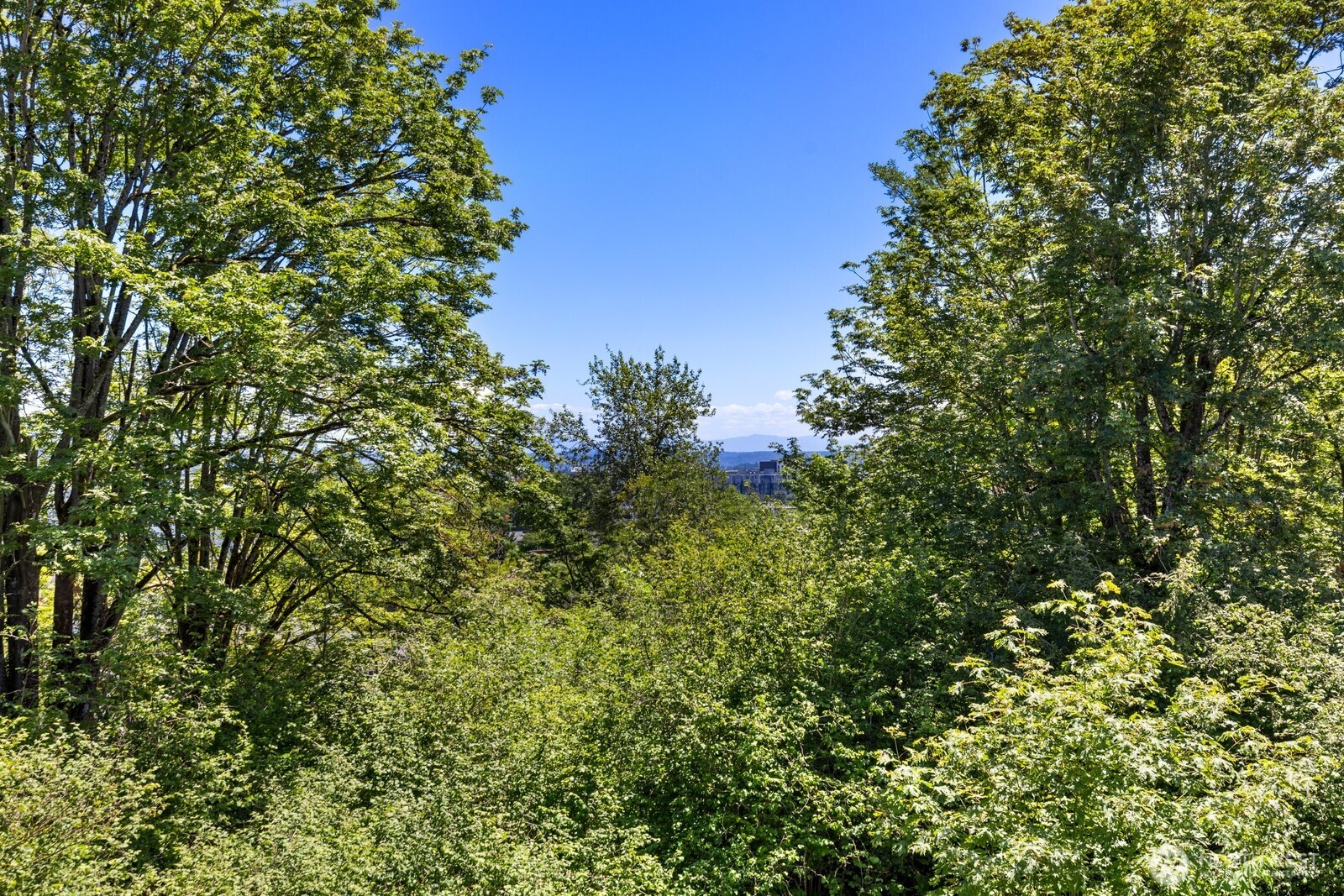 6726 35th Place Property Photo 1