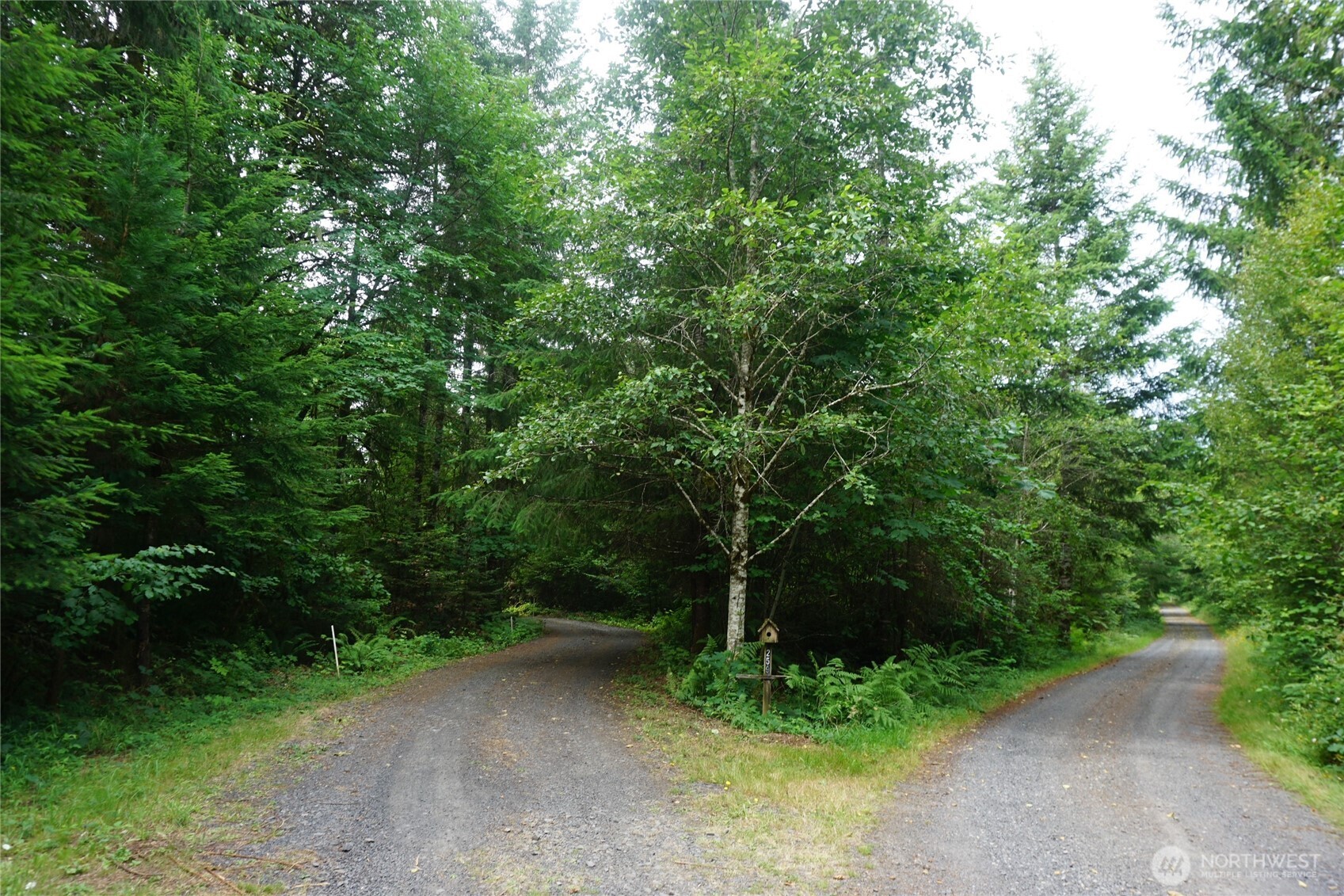 259 Finn Hill Road Property Photo 26