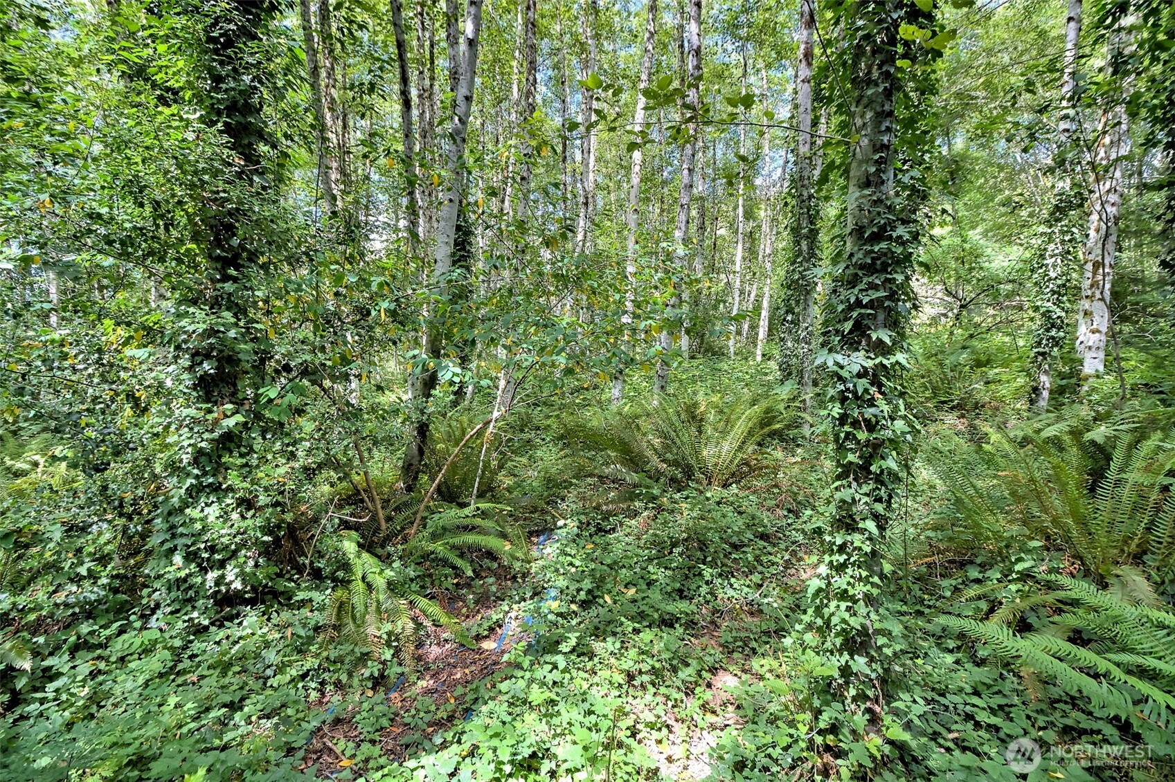 320 E Agate Beach Drive Property Photo 35
