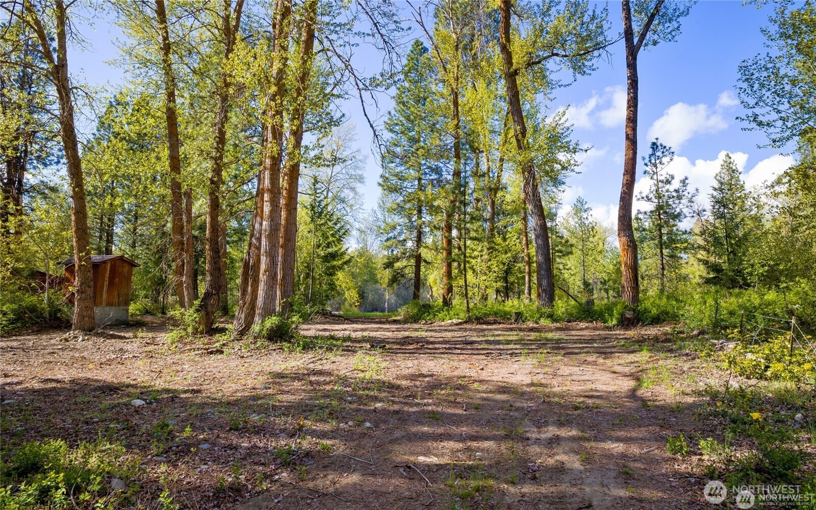 951 Mcdonald Road Property Photo 18