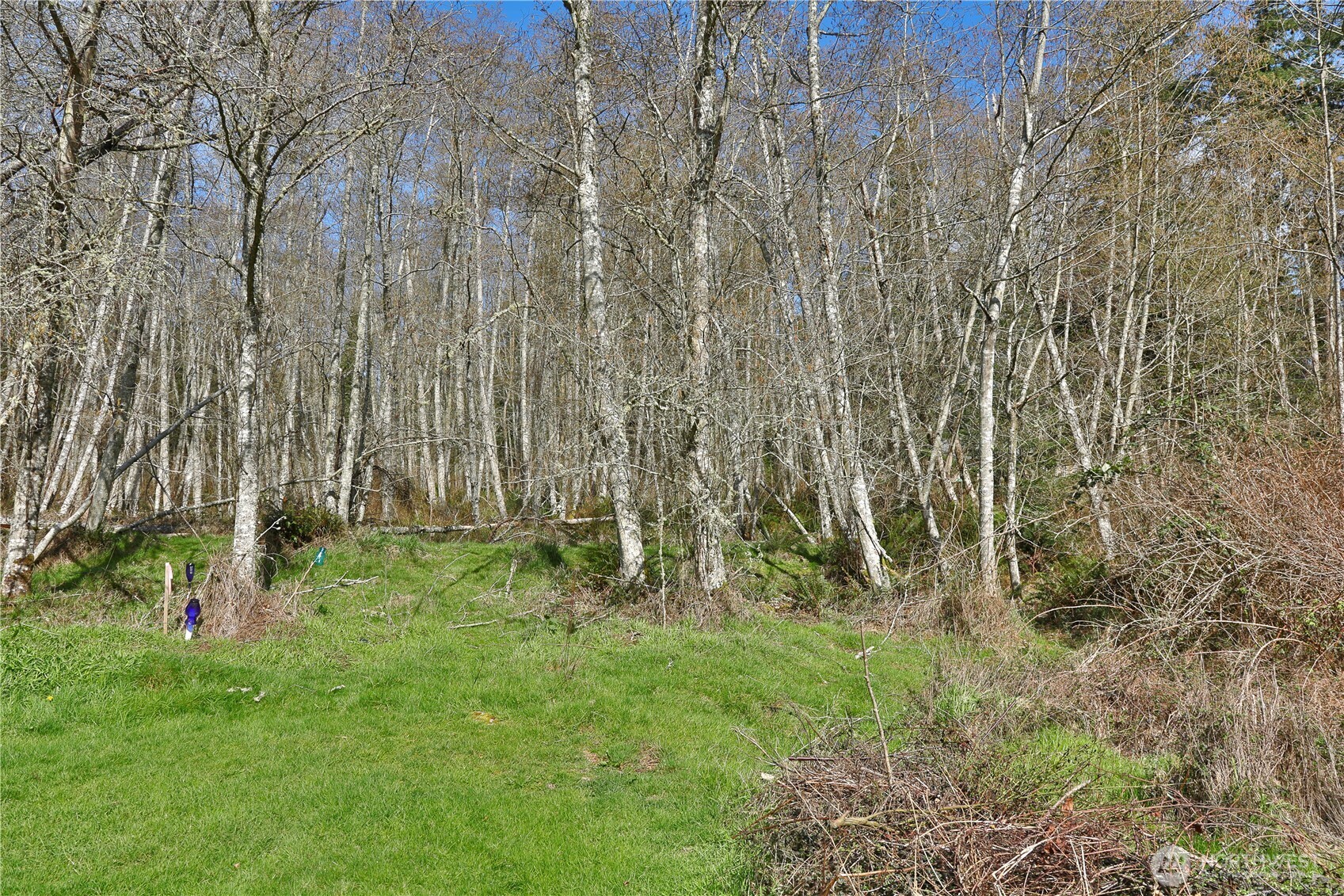 401 Gramayre Road Property Photo 6
