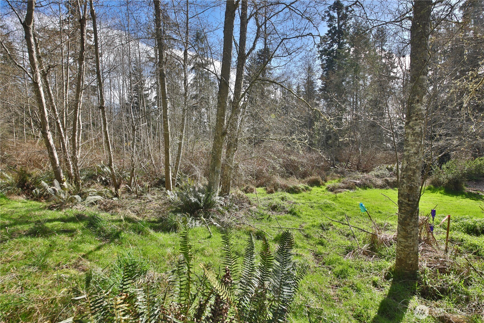 401 Gramayre Road Property Photo 7
