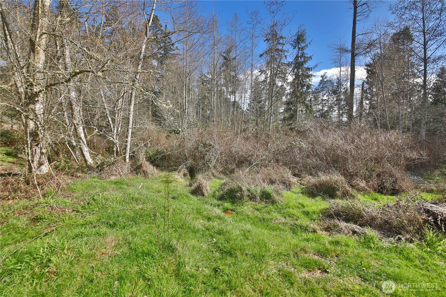 401 Gramayre Road Property Photo 8