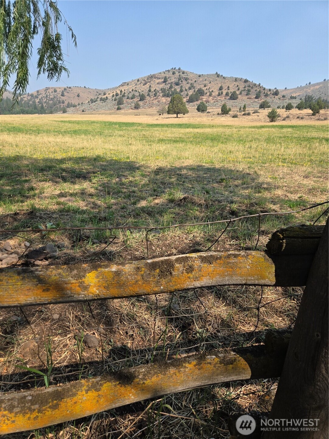 18392 Griffin Gulch Lane Property Photo 2