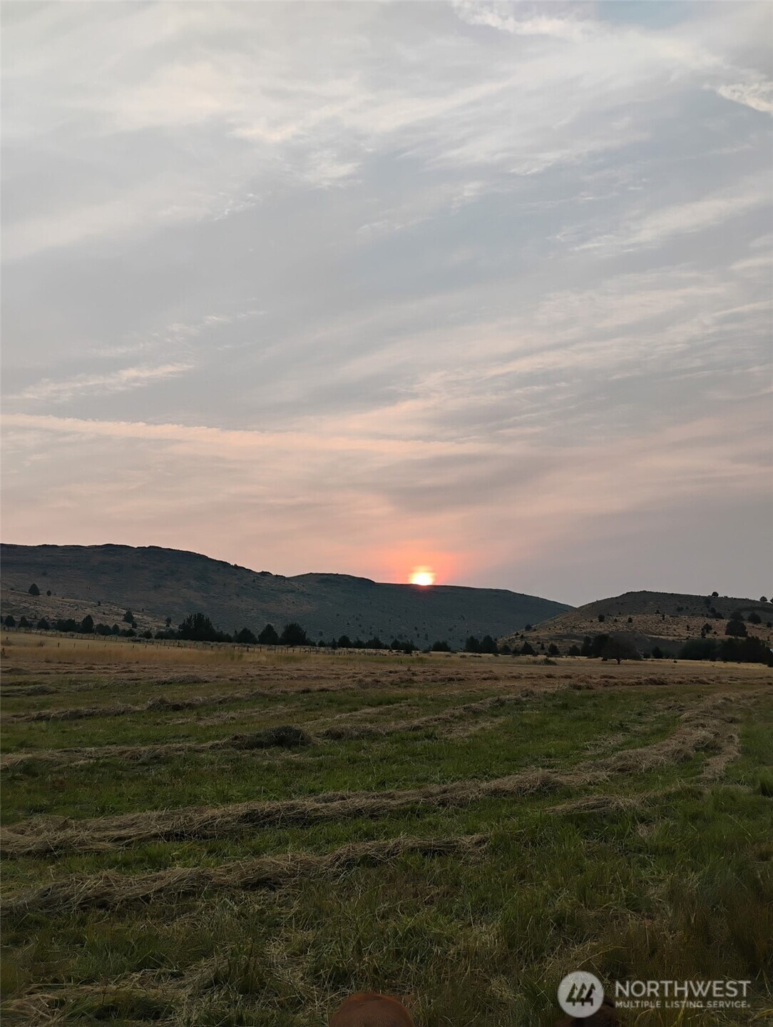 18392 Griffin Gulch Lane Property Photo 3