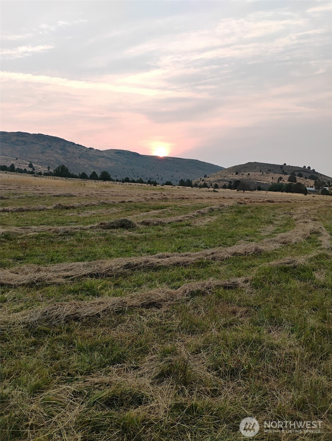 18392 Griffin Gulch Lane Property Photo 4