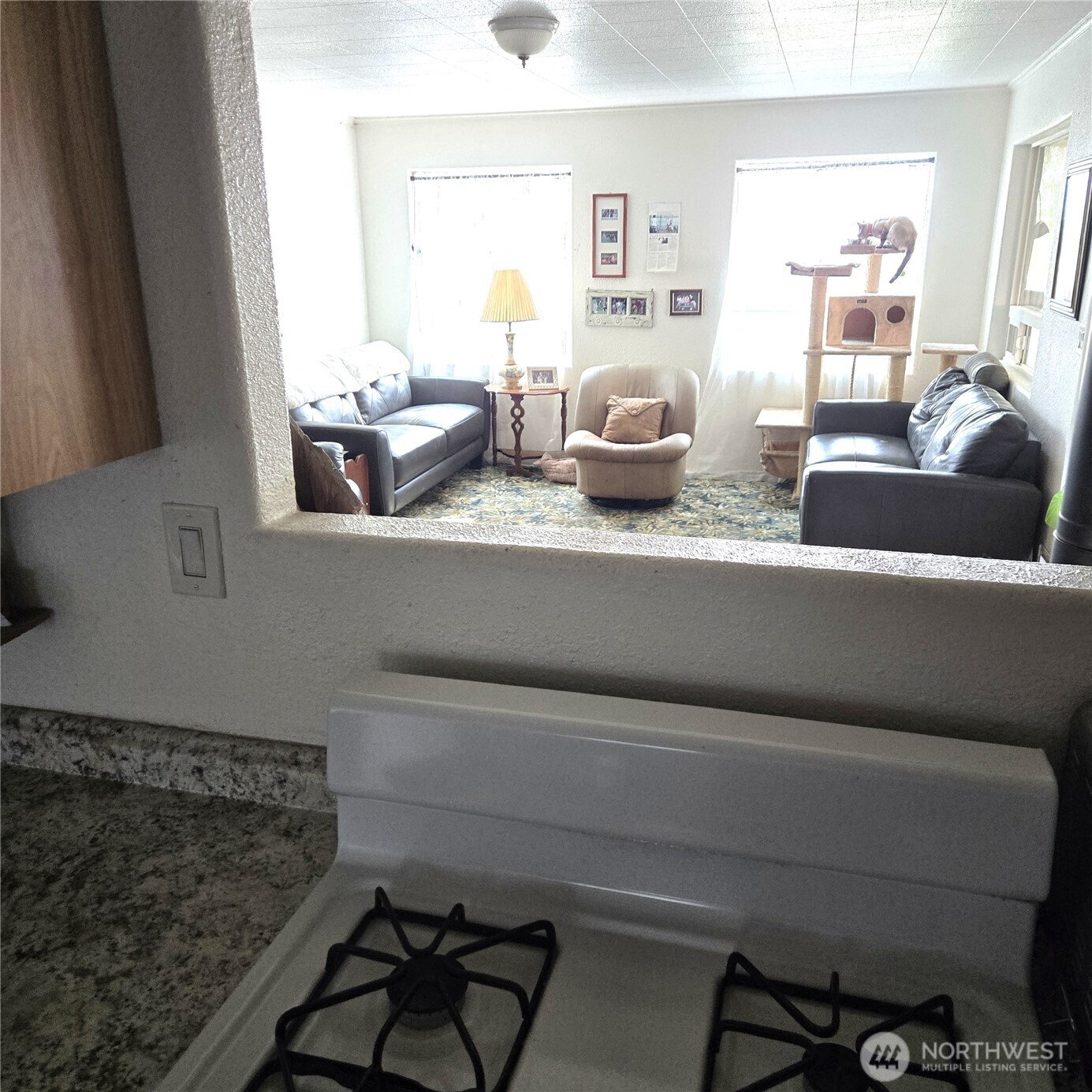 18392 Griffin Gulch Lane Property Photo 12
