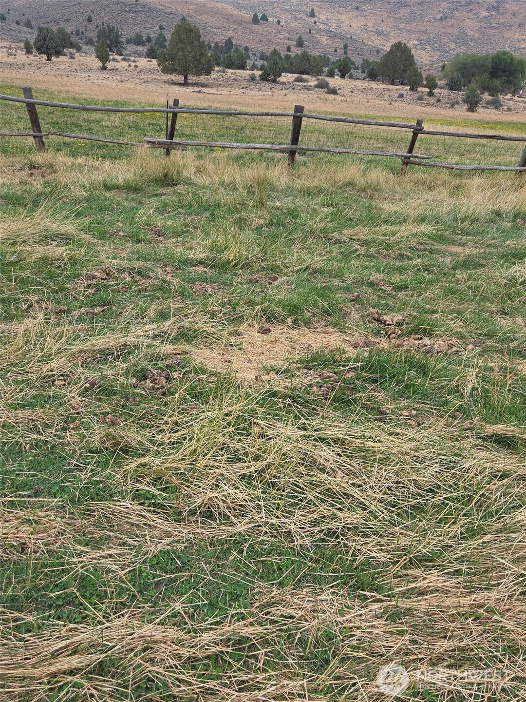 18392 Griffin Gulch Lane Property Photo 29