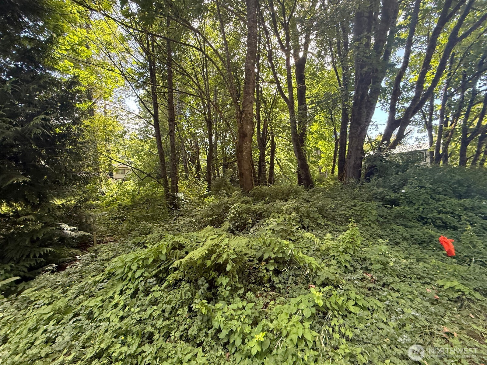 0 Cape Horn Drive Property Photo 1