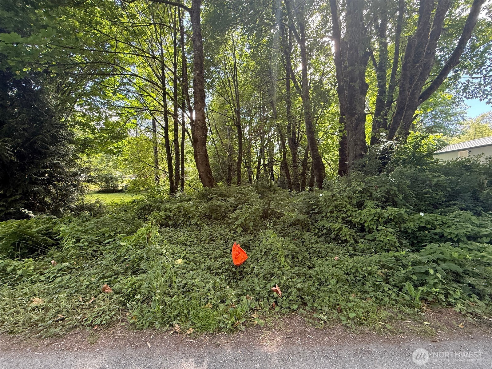 0 Cape Horn Drive Property Photo 3