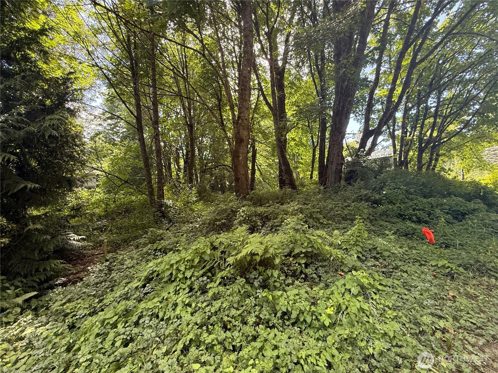 0 Cape Horn Drive Property Photo 4