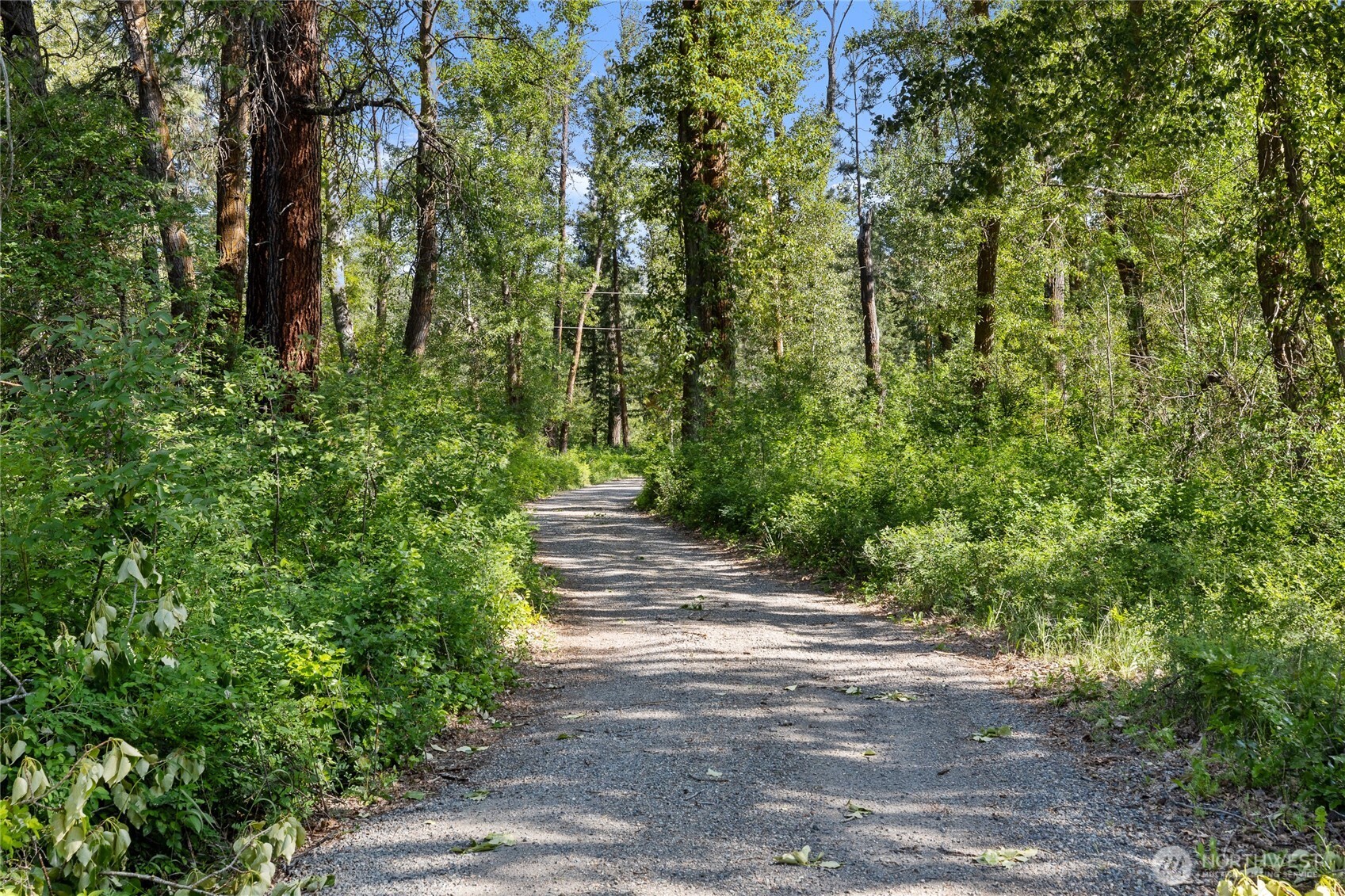 971 Mcdonald Road Property Photo 39