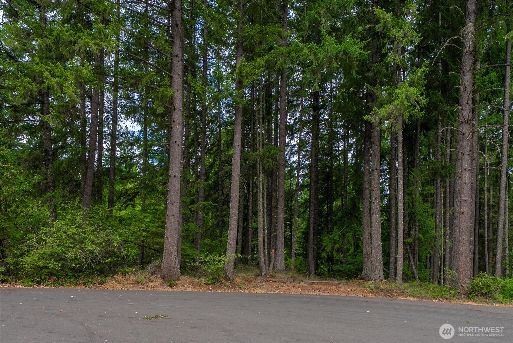 18236 Blue Hills Drive Property Photo 26
