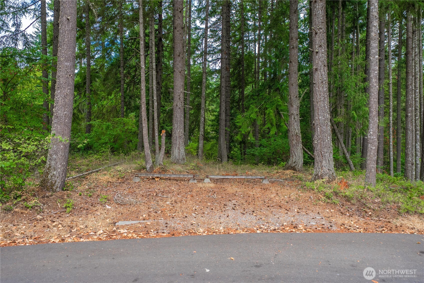 18236 Blue Hills Drive Property Photo 29