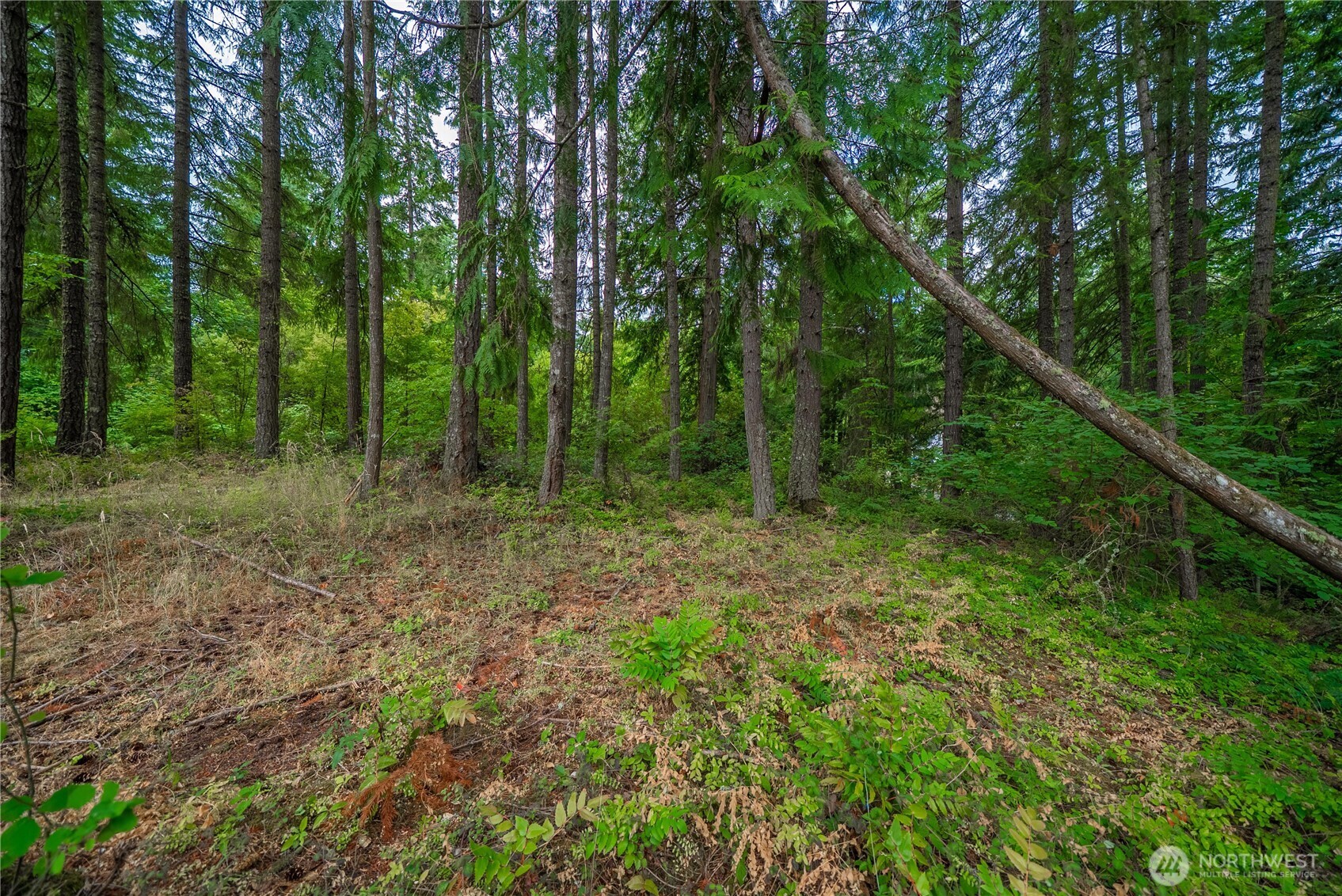 18236 Blue Hills Drive Property Photo 30