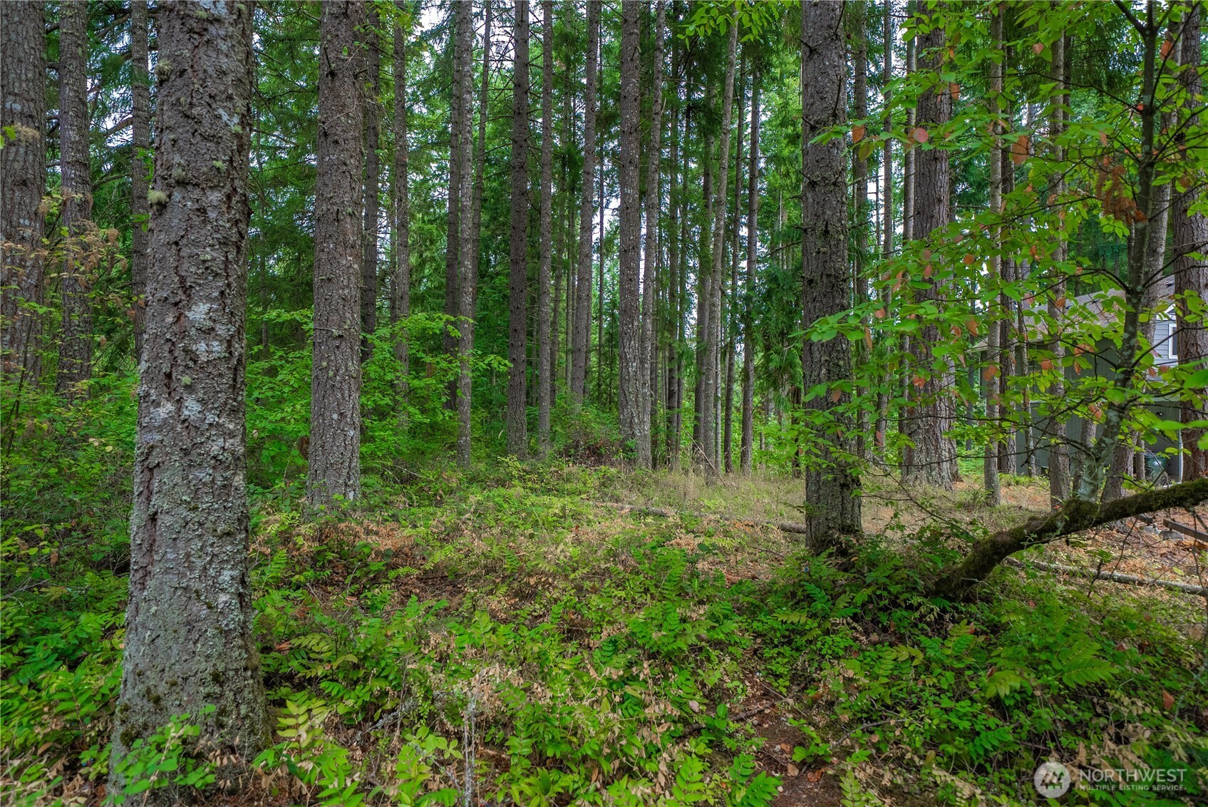 18236 Blue Hills Drive Property Photo 31
