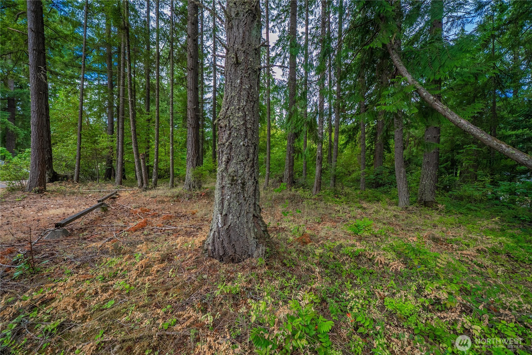 18236 Blue Hills Drive Property Photo 33