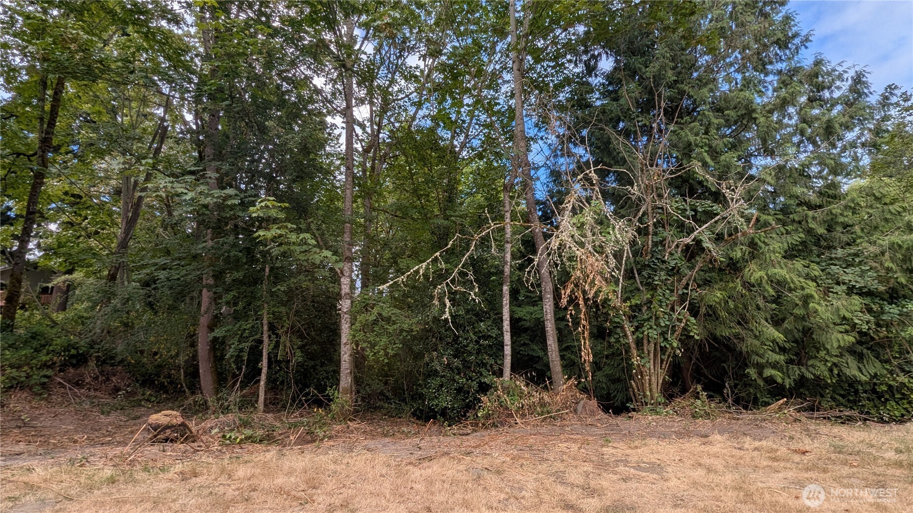 14834 75th Avenue Property Photo 11