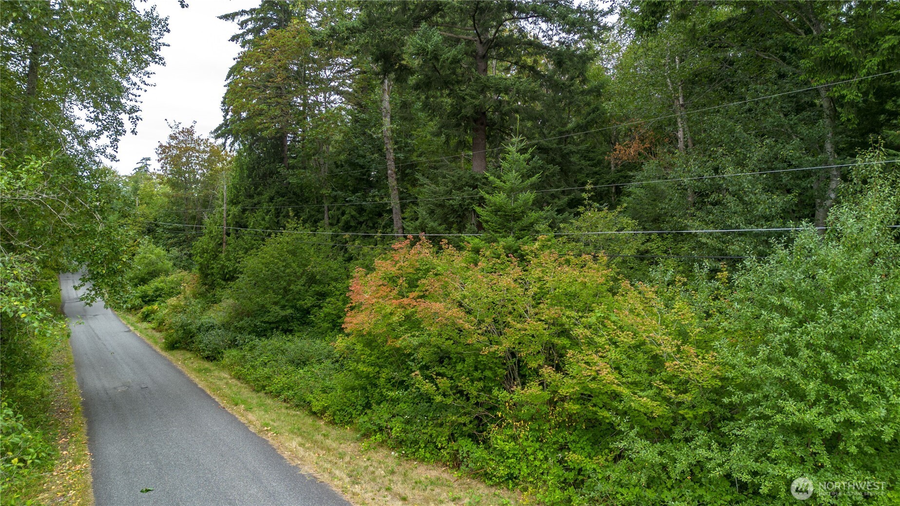 0 Nhn E Horton Road Property Photo 3