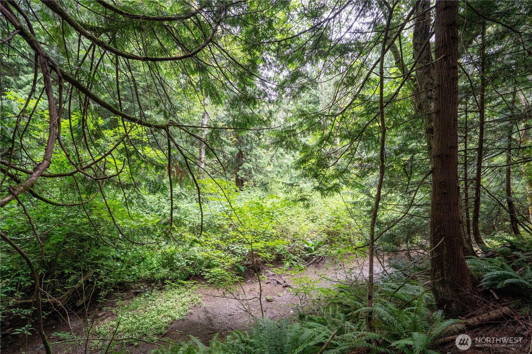 0 Nhn E Horton Road Property Photo 6