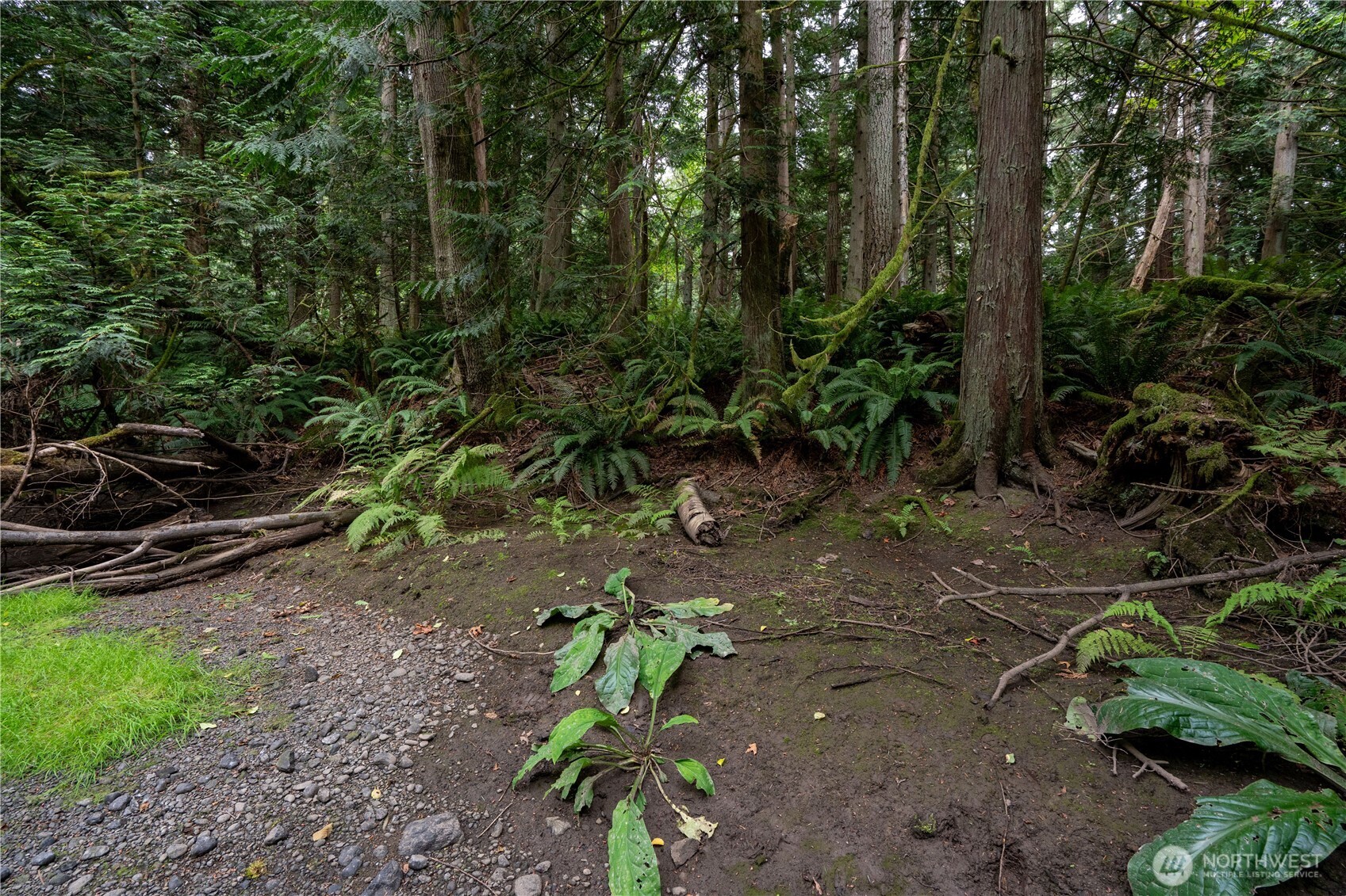 0 Nhn E Horton Road Property Photo 14
