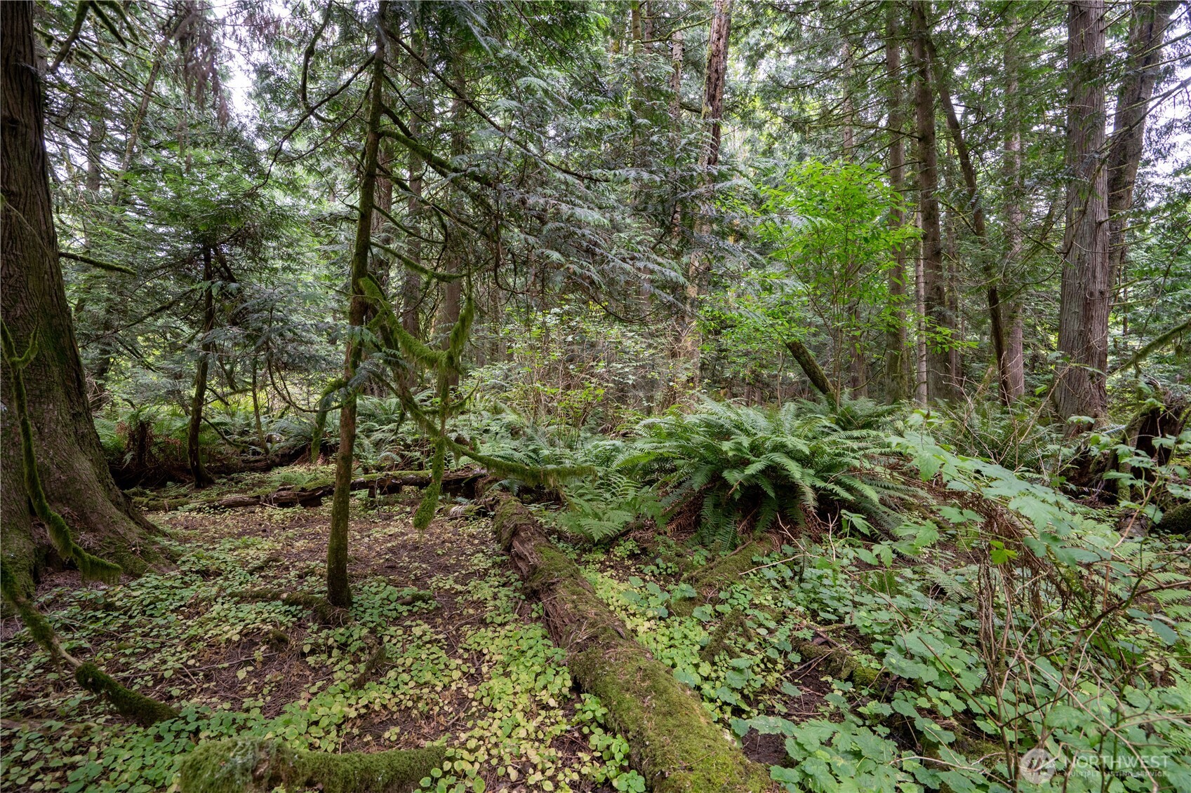 0 Nhn E Horton Road Property Photo 18