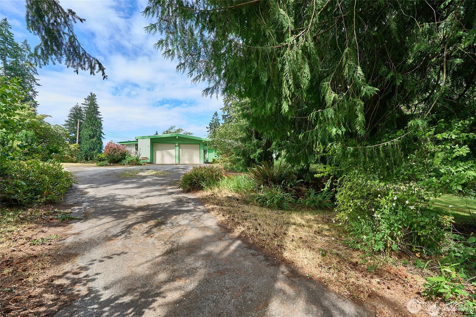 8209 144th Place Property Photo 3