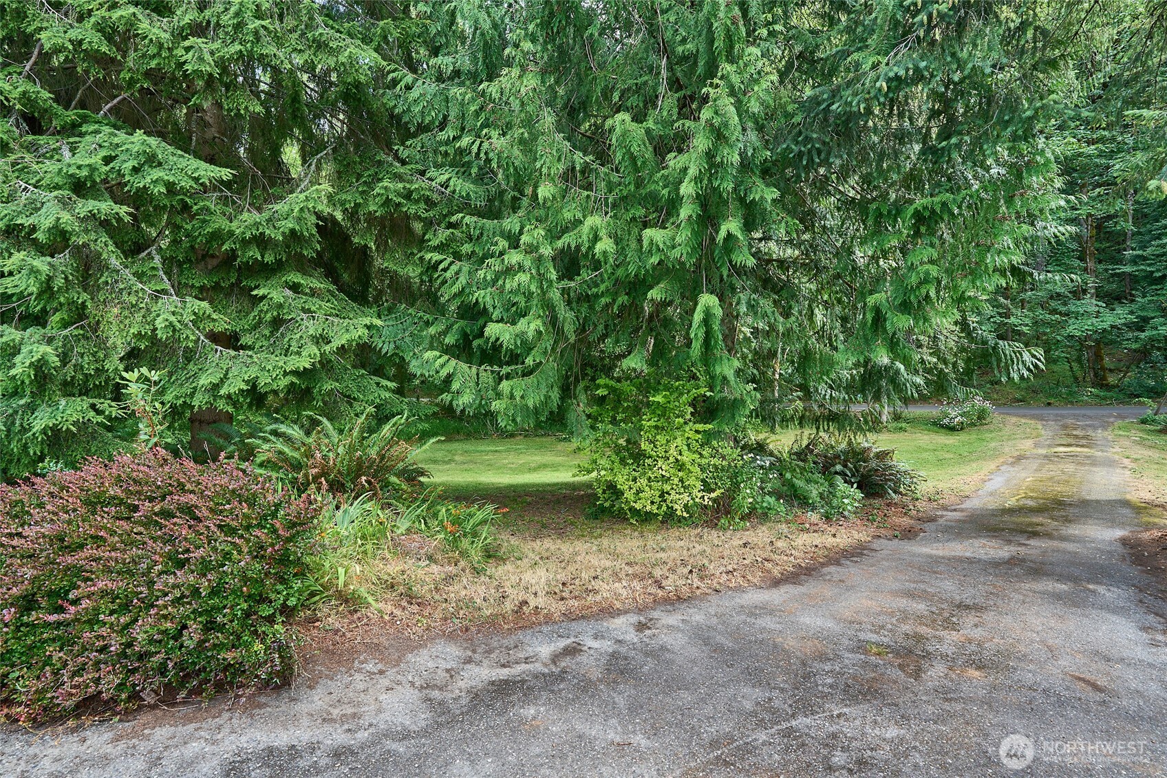 8209 144th Place Property Photo 13