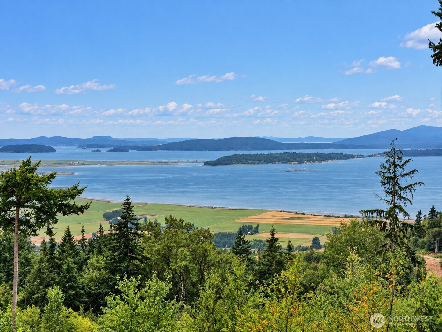 3284 Blanchard Knob Trail Property Photo 6