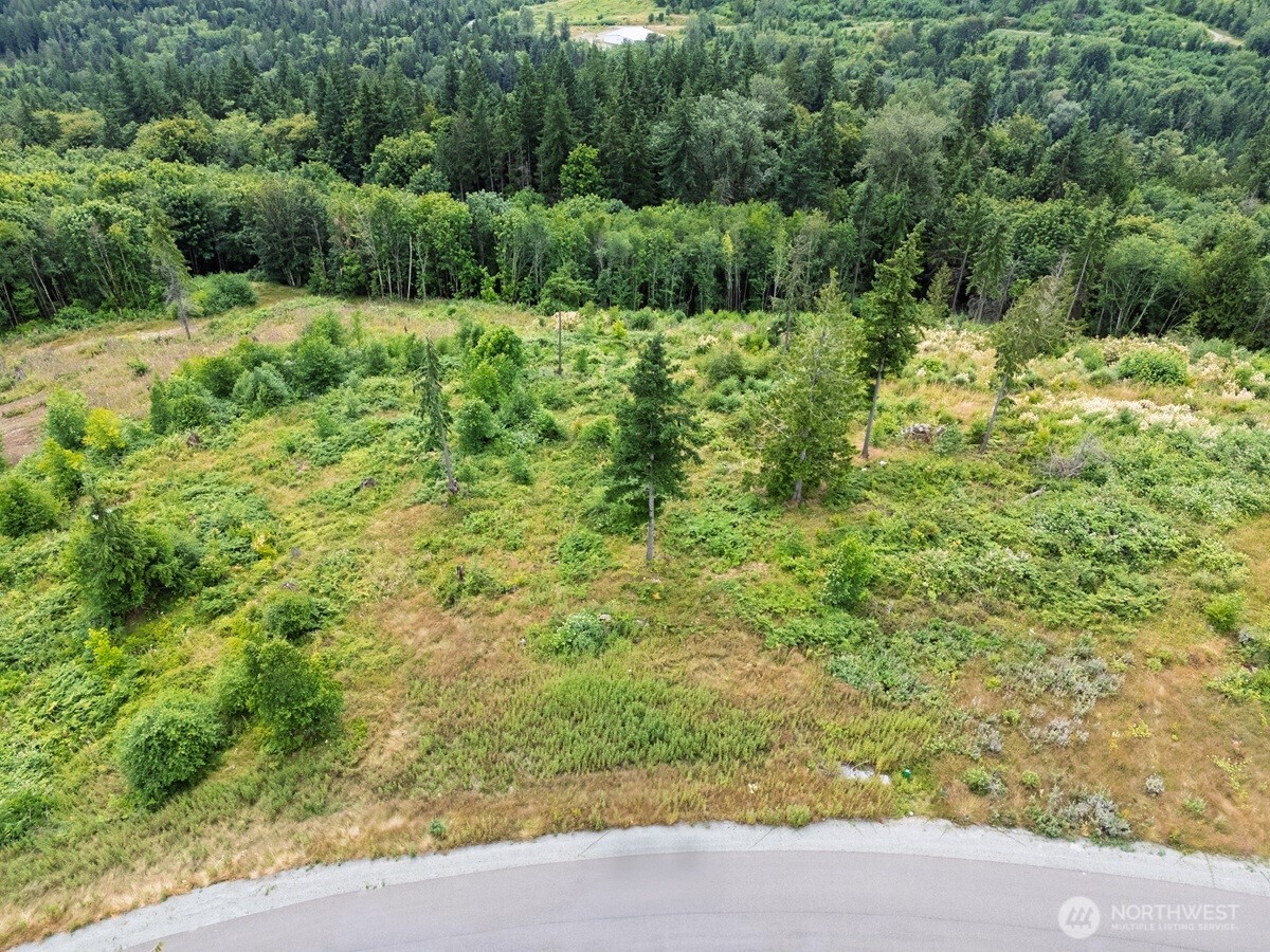 3284 Blanchard Knob Trail Property Photo 15